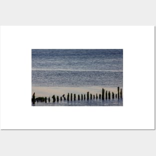 Wooden stumps in the River Clyde, Scotland Posters and Art